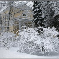 После снегопада. :: Александр Дмитриев