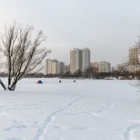 В зимнем парке :: Валерий Иванович