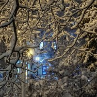 Зима :: Сергей Шатохин 