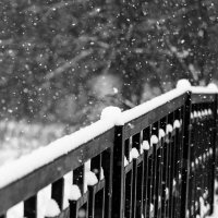 Снегопад :: Александр 
