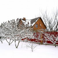 Зима у дома :: Сеня Белгородский