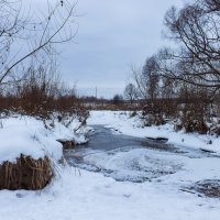 Речка замерзла. :: Андрей Андрианов