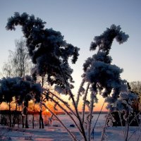 На закате :: Людмила Смородинская