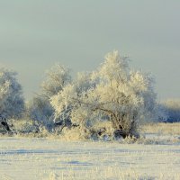 Ах,эта белая зима. :: nadyasilyuk Вознюк