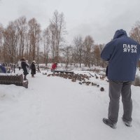 Зимняя Зарисовка :: юрий поляков