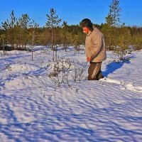 Глубоки снега в ноябре! :: Владимир 