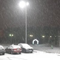 Снег... :: Ольга 