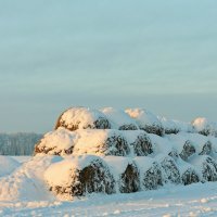 Снопы сена под снегом :: Дмитрий Конев