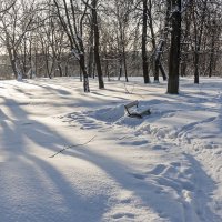 В зимнем парке :: Валерий Иванович