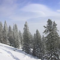 Зима на склонах Уральских гор :: Галина Ильясова