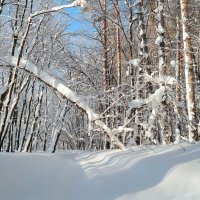 "Ваня" тоже снега нам подсыпал... :: Андрей Заломленков