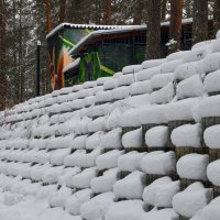 Снежок :: Валерий Пославский