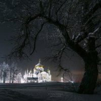 Под покровом ночи :: Елена Соколова