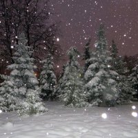 Снегопад :: Ирина Олехнович