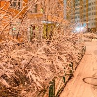 Липкий снег :: Валерий Иванович