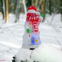 Моё 9000-е фото на сайте в преддверии Нового года! :-) :: Андрей Заломленков