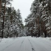 Тюменская зима :: Георгиевич 