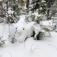 лежка в снегу :: Владимир 
