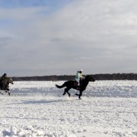 Конные  бега. :: nadyasilyuk Вознюк