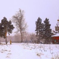 Однажды утром , после снегопада . :: Мила Бовкун