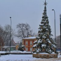 атмосфера праздника :: Светлана Баталий