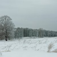 Зимними дорогами :: Дмитрий Конев