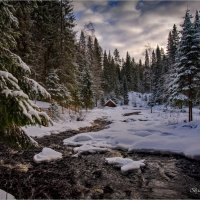 "Притаилась в глубине избушка"© :: Владимир Макаров