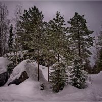 "Мрамор, снег и сосны"© :: Владимир Макаров