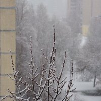 Снегопад... :: Юрий Куликов