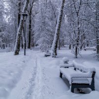 Зимний парк :: Андрей Дворников