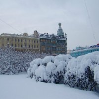 Дом книги :: Вера Щукина