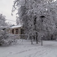 Зимний парк # 02 :: Андрей Дворников