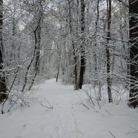 Сезон ЧБ фотографии в разгаре :: Андрей Лукьянов