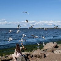 Финский залив :: Осень 