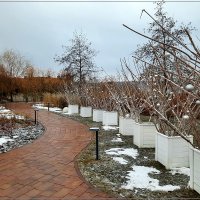 Предновогоднее :: Сеня Белгородский