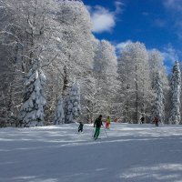 На лыжне :: Татьяна Сергиенко