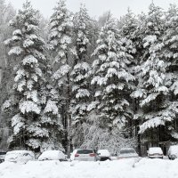 автостоянка :: Владимир 