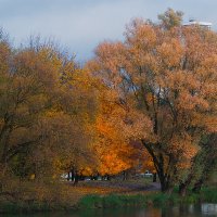 У пруда осенью :: M Marikfoto