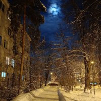 Вечером при луне :: Мария Васильева