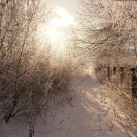 По дороге в Новый год... :: Андрей Заломленков