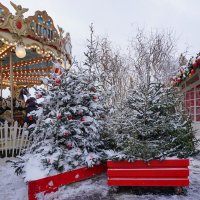 Фестиваль "Путешествие в Рождество" :: Ольга 