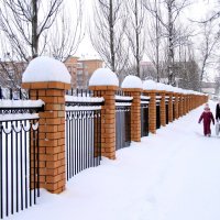 Зима в городе. :: Евгений Шафер