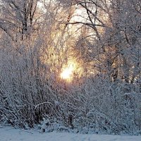 Красивая зима. :: VasiLina *