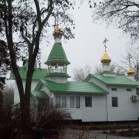 Купола среди деревьев в парке :: Александр Стариков