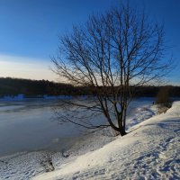 Всех с наступающим Новым годом! :: Андрей Лукьянов