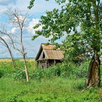 Сибирская глубинка, домики в деревне :: Дмитрий Конев