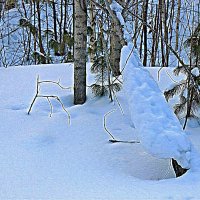 Снежный январь на краю речного обрыва! :: Владимир 