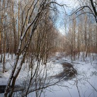 В зимнем парке... :: Сергей Кичигин