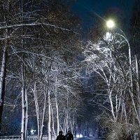 вечер, снег :: Евгений Фролов