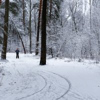 О любителях лыжного спорта. :: Милешкин Владимир Алексеевич 